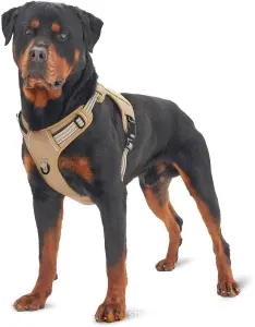 No Pull Dog Harness, Adjustable Reflective Tactical Pet Harness with Durable Material for Medium and Large Dogs, Size M, Chest 55.8-83.8cm