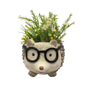 Bulk 2 Resin Hedgehog Planter 33x26x21cm