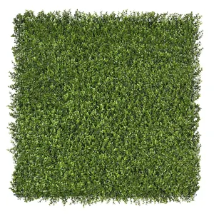 Premium Natural Buxus Hedge Panels UV Resistant 1m X 1m