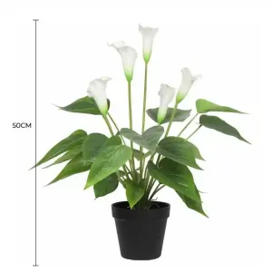 Artificial Flowering White Peace Lily / Calla Lily Plant 50cm