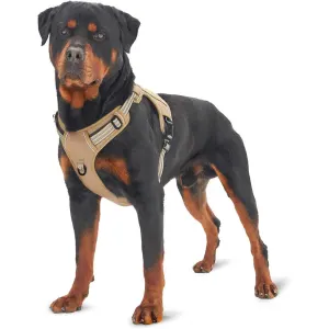 Purple Professional Adjustable Tactical Dog Mesh Harness – Reflective No-Pull Pet Vest with Control Handle (L Size for Weight 45-80 lbs)