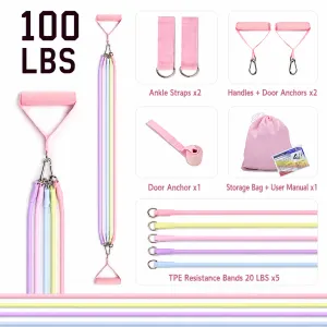 Women's Multifunctional 100 lbs Resistance Band Set with Storage Bag, Foam Handles and Ankle Straps for Home Fitness & Pilates Workout (Pink Macaron Carabiners Style)