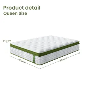BedStory 34cm Queen Latex Hybrid Mattress Medium Firm – 5 Zone Pocket Spring Bed for Pressure Relief Motion Isolation