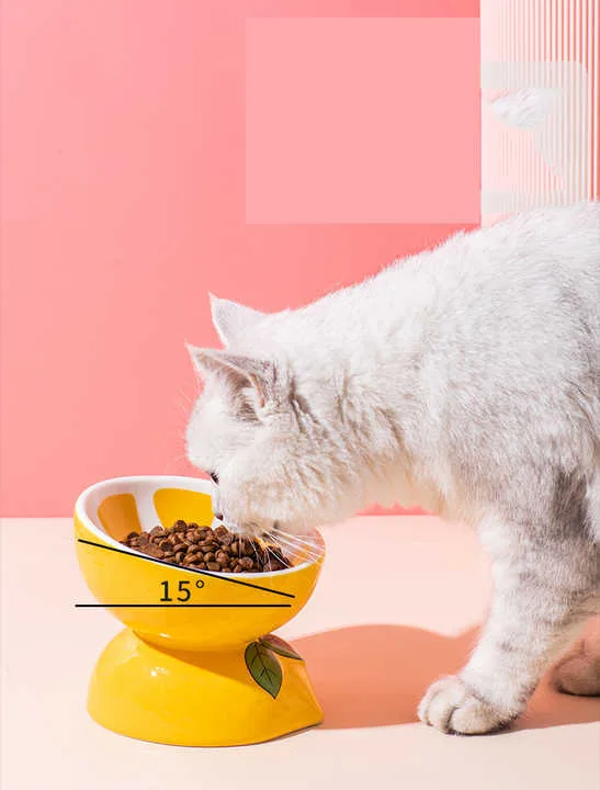 Ceramic Elevated Pet Food Bowl – Cute Watermelon Pattern Design for Cats and Small Dogs