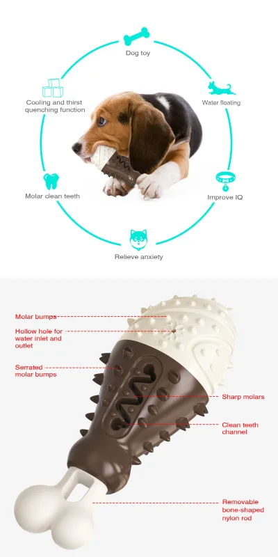 Multifunctional Dog Toy with Cooling, Dental Care & Floating Features – Orange