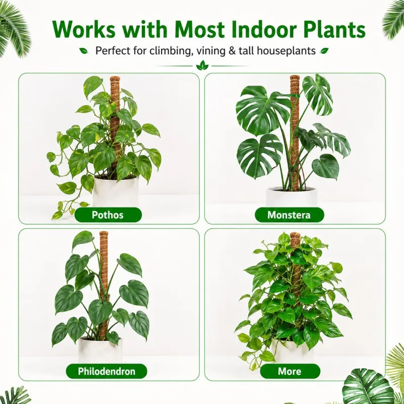 4Pack 24in Coir Moss Poles for Climbing Indoor Plants like Monstera, Pothos, and Philodendron(Brown)