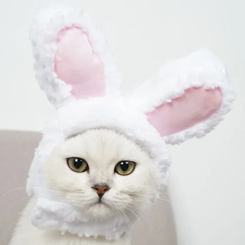 4 Pcs Adorable Bunny Ears Cat Hat