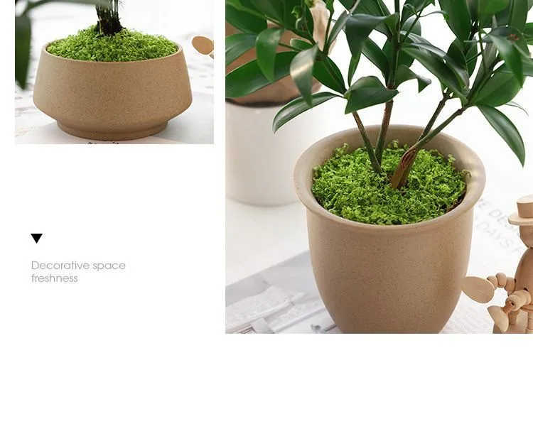 200g Dark Green Artificial Moss