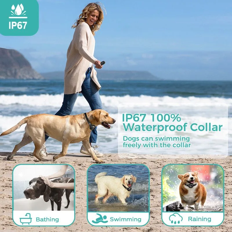 3-in-1 Dog Training & Anti-Bark Device