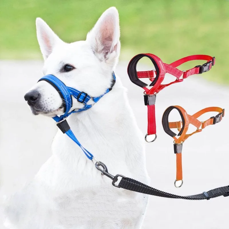 No Pull Dog Head Collar – Soft Padded Head Halter with Safety Link & Adjustable Muzzle Leash for Large Medium Dogs