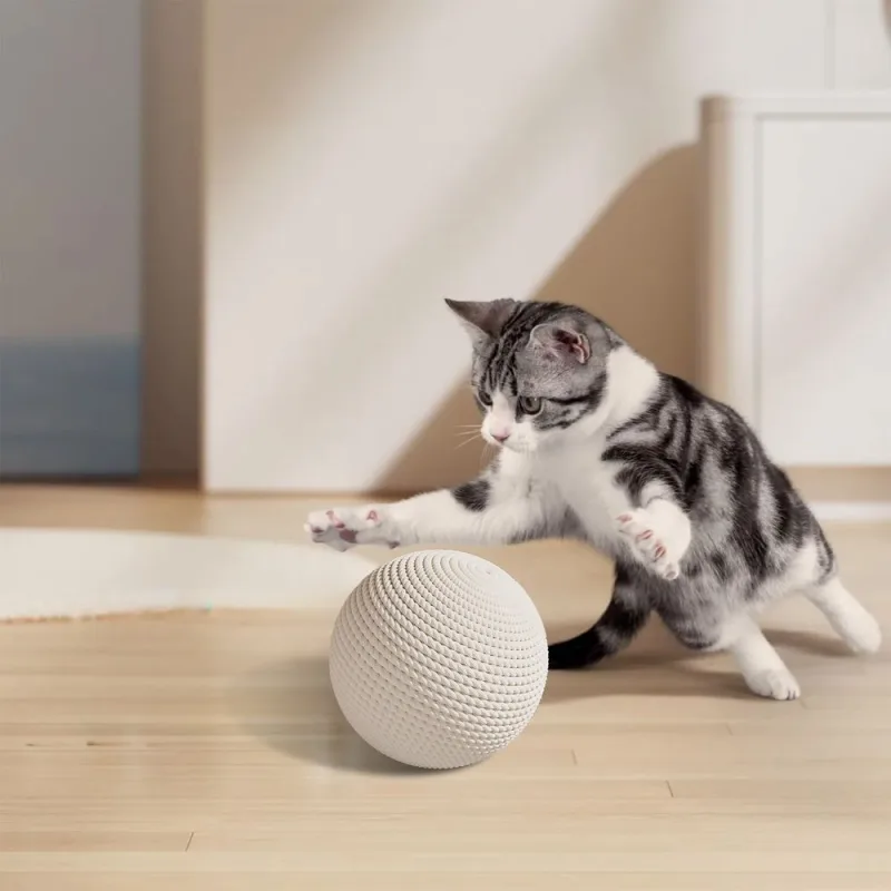Interactive Cat Toy Roller Scratcher Ball Teaser Wand for Indoor Cats Kitten White