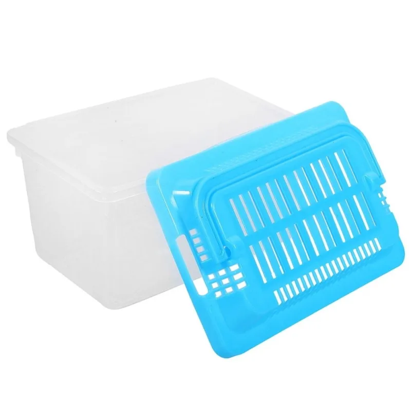 Sky Transparent Plastic Turtle Nest and Reptile Carrier Box for Safe Home Transport and Habitat