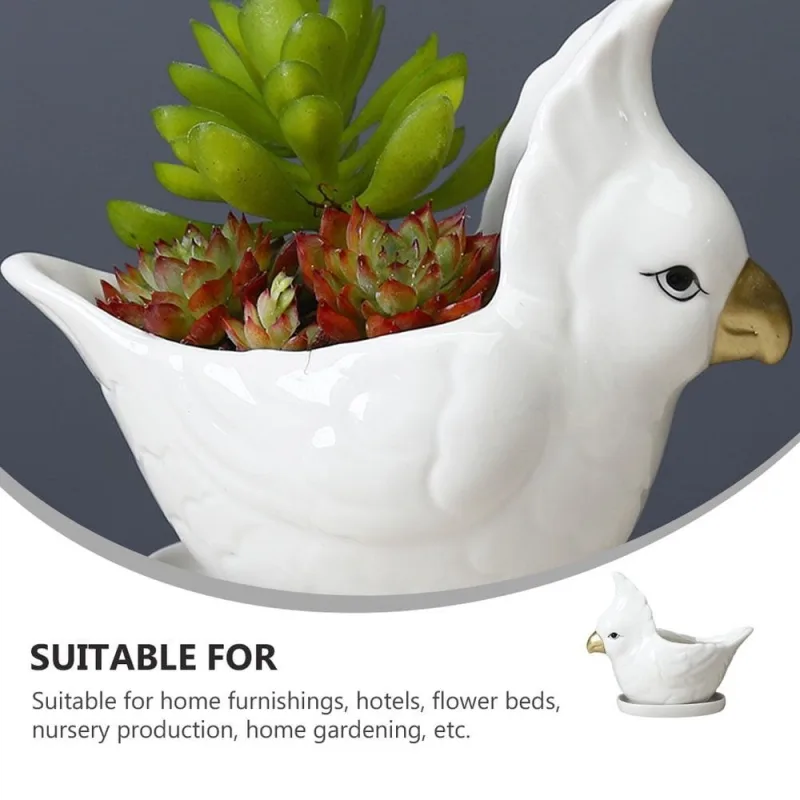 1Set Home Succulent Planter Ceramic Flower Container for Indoor Garden Decoration