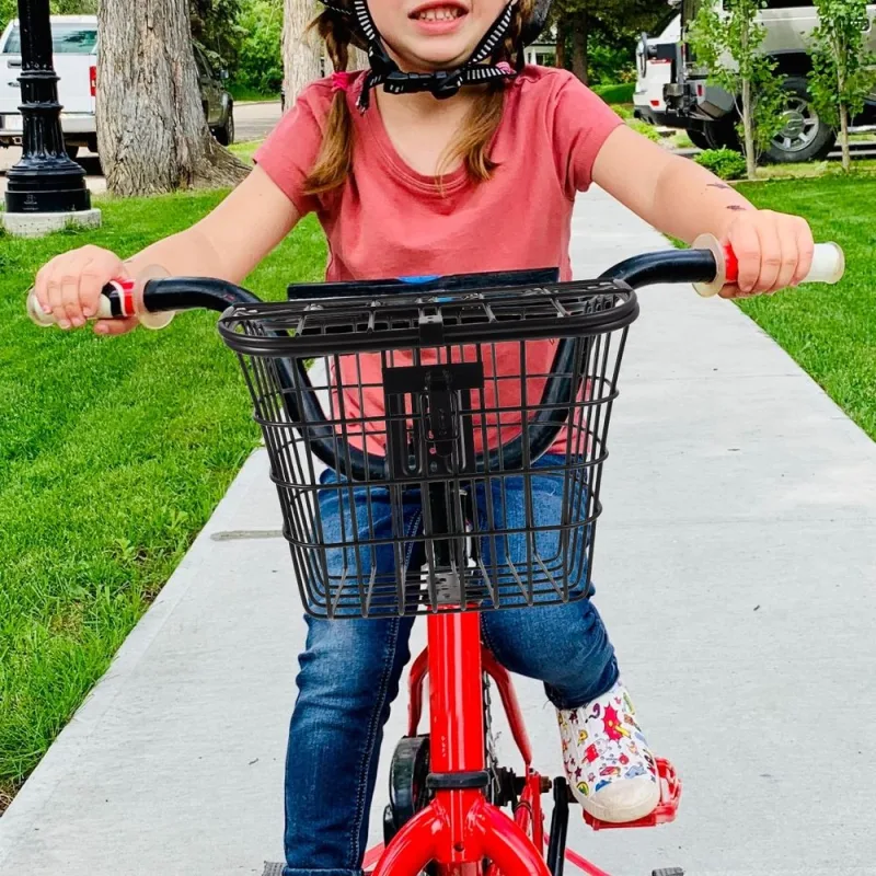 Black Mesh Front Bike Basket for Easy Storage, Design, and Universal Fit for Most