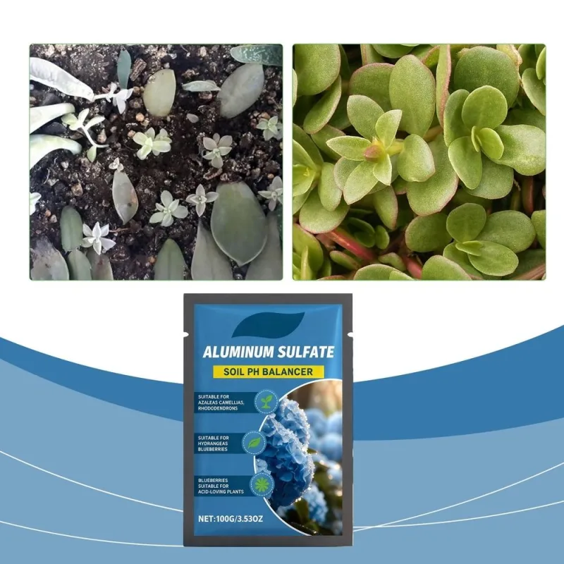 Slow Release Hydrangea Fertilizer with Iron & Sulfur – Indoor & Outdoor Soil Acidifier for Miracle Growth