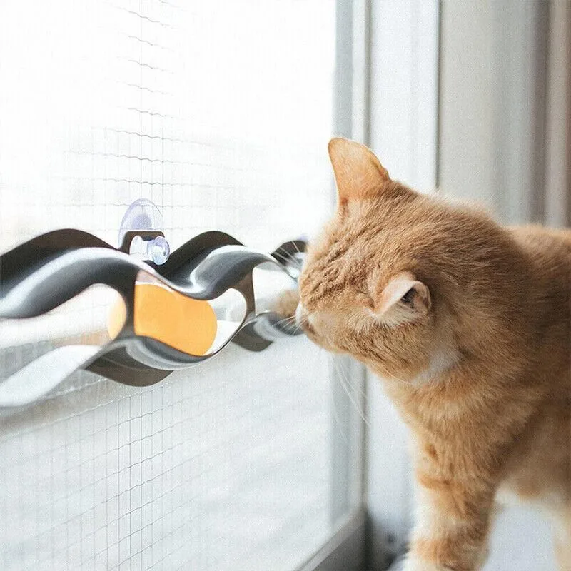 Interactive Cat Track Ball Toy with Window Suction Cup for Indoor Play and Exercise