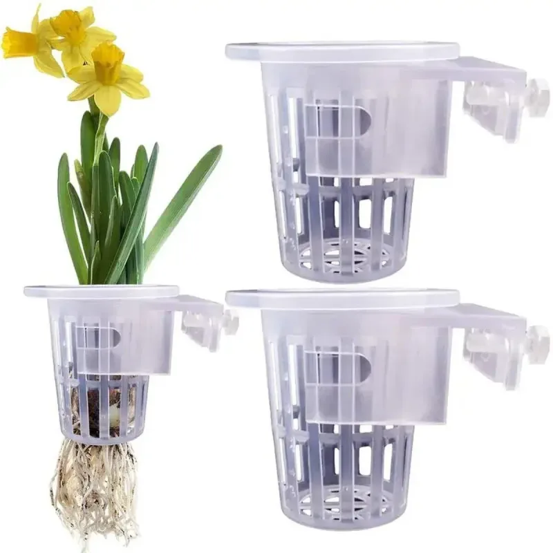 Adjustable Wall Mounted Aquatic Plant Cup for Emersed Plants Water Grass Holder