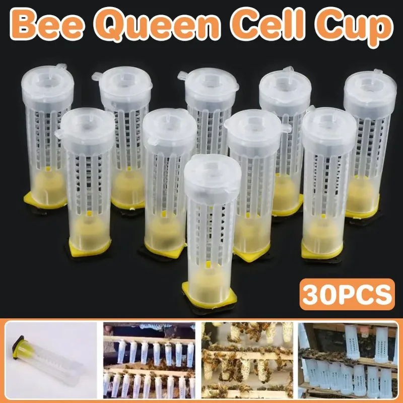 30pcs Bee Protective Covers Multi Functional King Cage Bee Bite Protector Shield 30pcs Bee Protective Covers Multi Functional King Cage Bee Bite Protector Shield