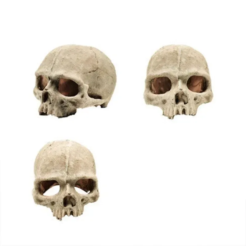 Artificial Fake Skull Head Bone Aquarium Ornament Fish Tank Decoration – Hat