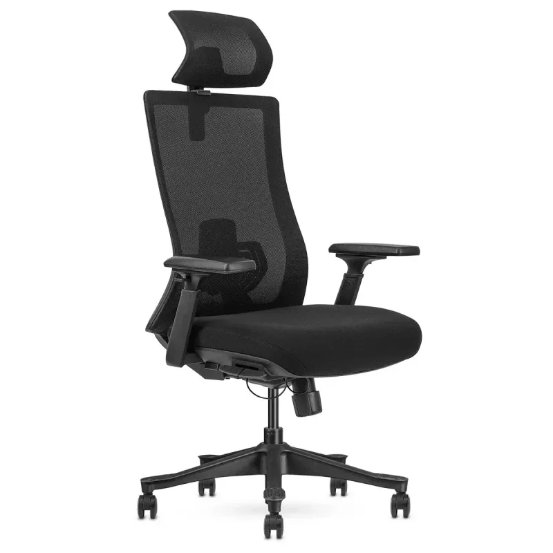 Lifespan Fitness DM9 Ergonomic Mesh High Back Office Chair Lifespan Fitness DM9 Ergonomic Mesh High Back Office Chair