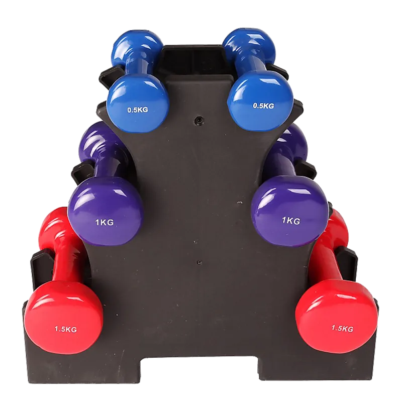 6-Piece Dumbbell Set with Storage Rack for Home Gym Training