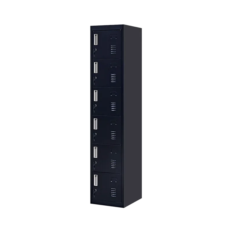 6-Door Locker for Office Gym Shed School Home Storage