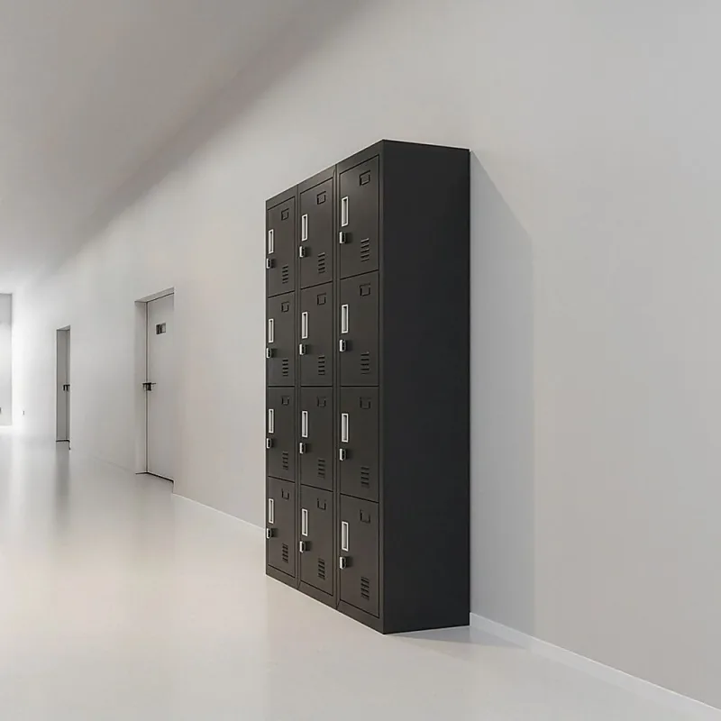 12-Door Steel Locker – Black, Padlock-operated